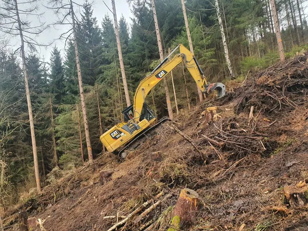 Forstbau baumfaellung cat 320