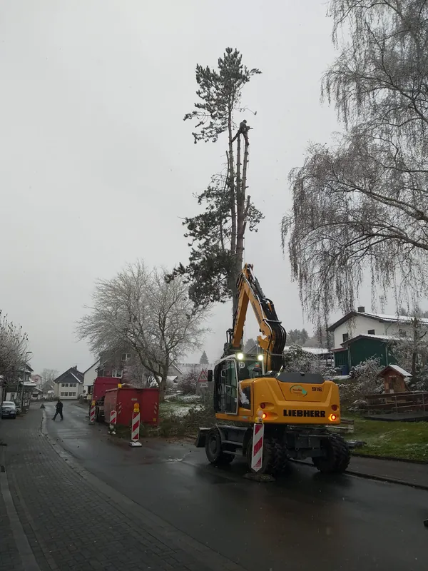 Forstbau baumfaellung liebherr 916