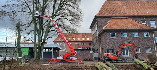 Forstbau baumfaellung lindig za 140 liebherr r934