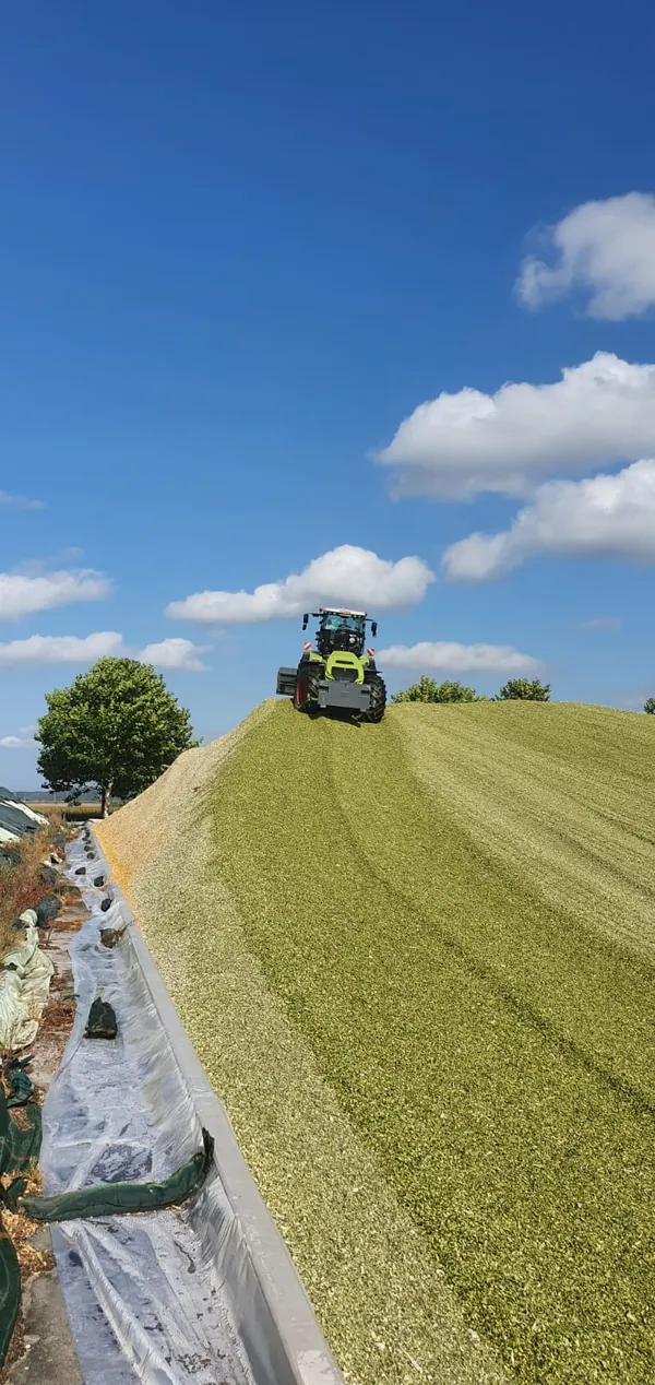 Landschaftsbau futterbergung klas elo