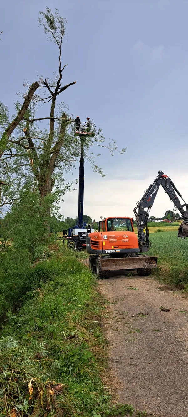 Schaeff tw95 baumarbeiten