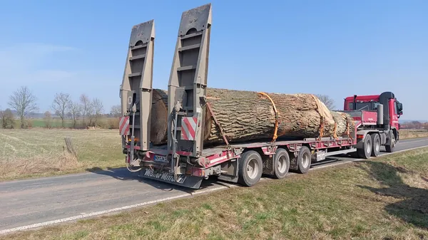 Transport schwertransport forstlaedewagen